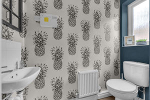 Photo 46- click for photo gallery